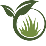 Get Hydroseeding Service