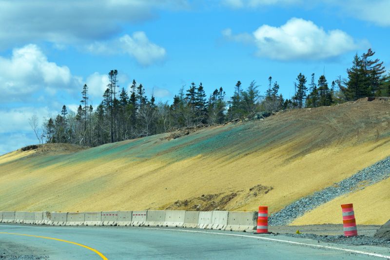 Get Hydroseeding Service