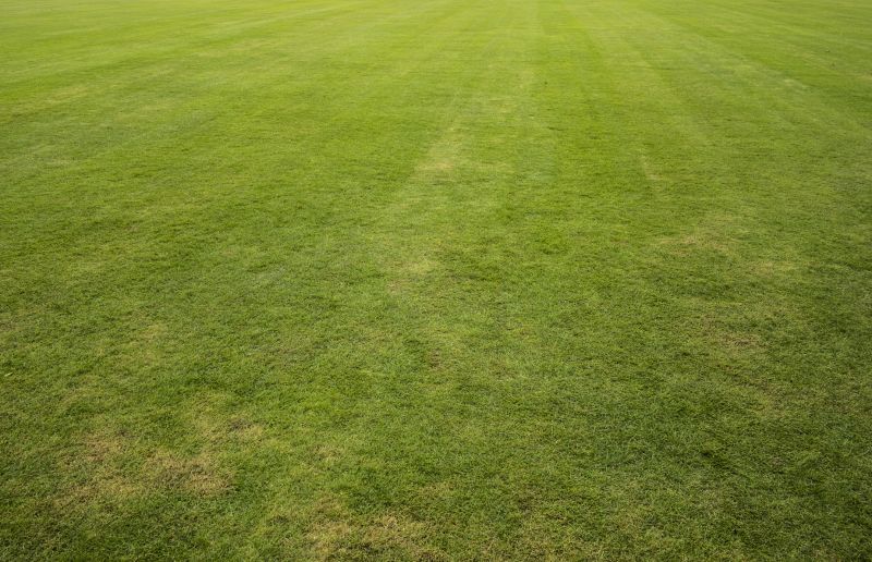 Fescue Sod Installation in Honolulu, HI