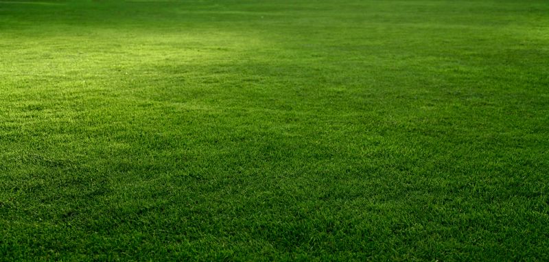 Hydroseeding Service