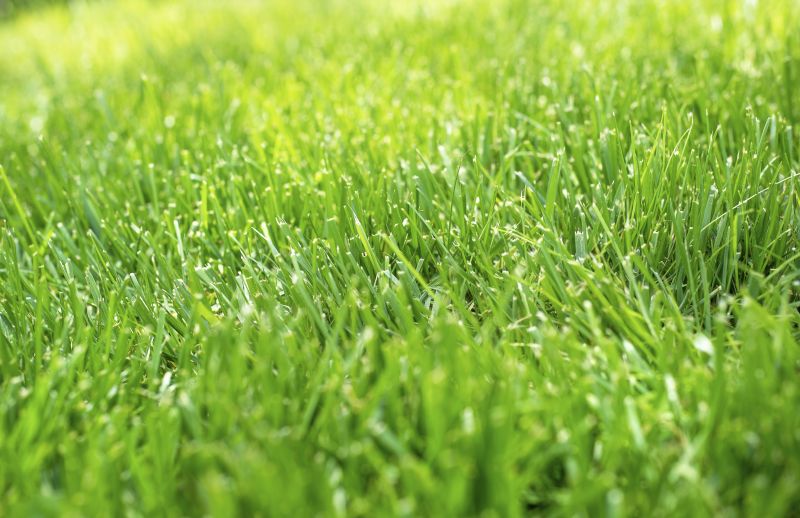 Hydroseeding Service