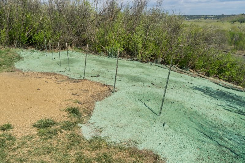 Inside the Hydroseeding Process