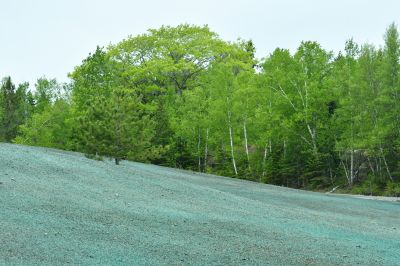 Slope Hydroseeding in Ventura County, CA