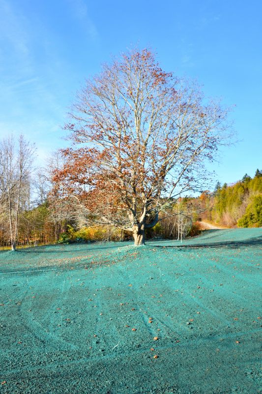Get Hydroseeding Service