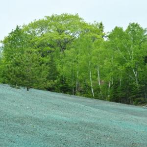 Indianapolis Hydroseeding
